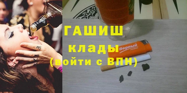 крисы Мегион