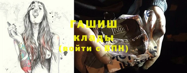 крисы Мегион