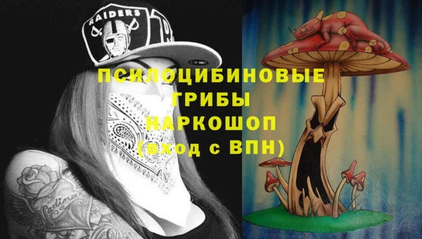 прущие крисы Медвежьегорск