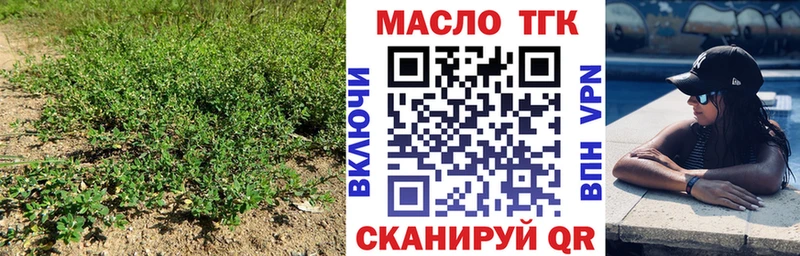 ТГК гашишное масло  MEGA ССЫЛКА  Аргун 