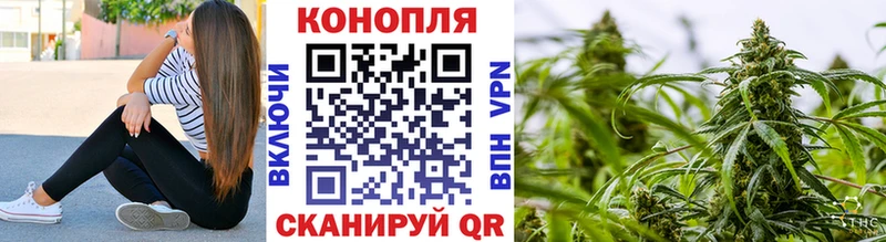 Конопля OG Kush  Аргун 